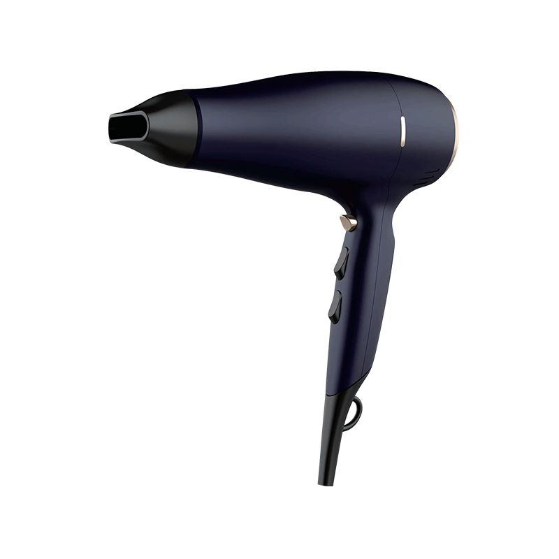 Secador de pelo profesional HD-1816C