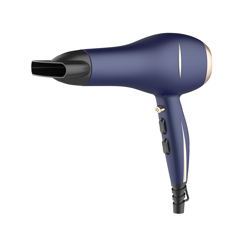 Secador de pelo profesional HD-1816F