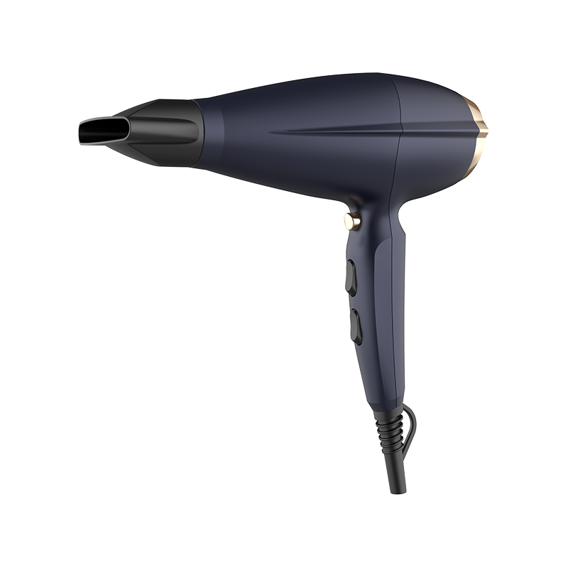 Secador de pelo profesional HD-160