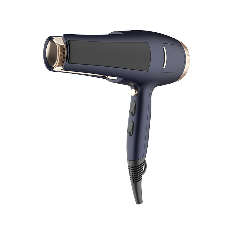 Secador de pelo profesional HD-161