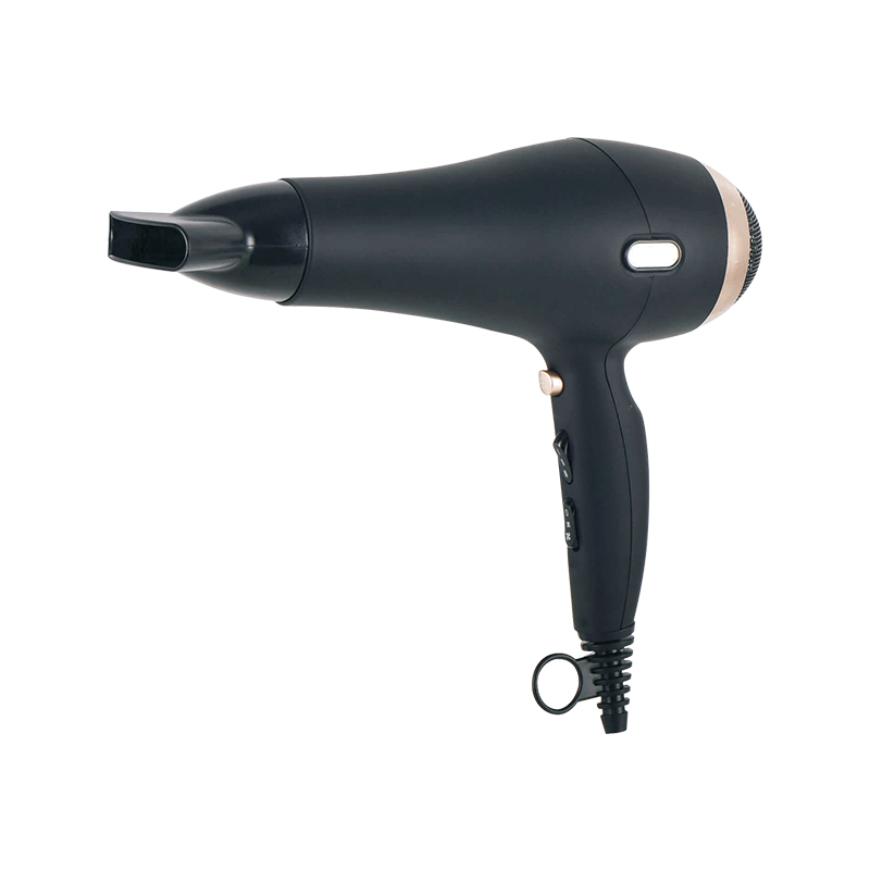 Secador de pelo profesional HD-1812F